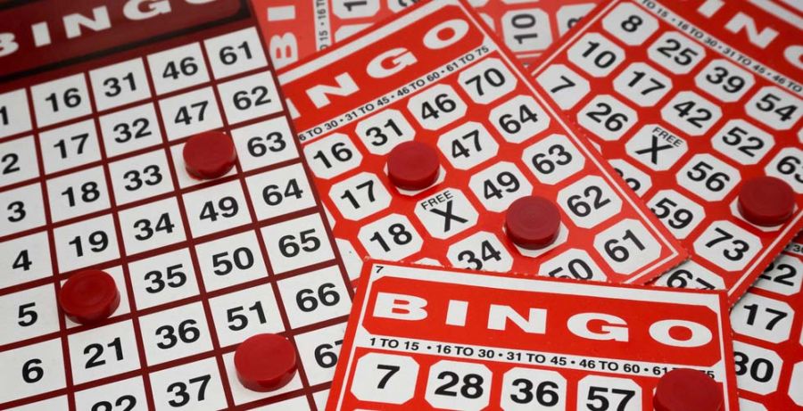 Bingo - galabingo