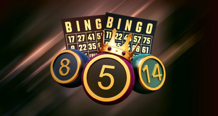Bingo Lingo - galabingo
