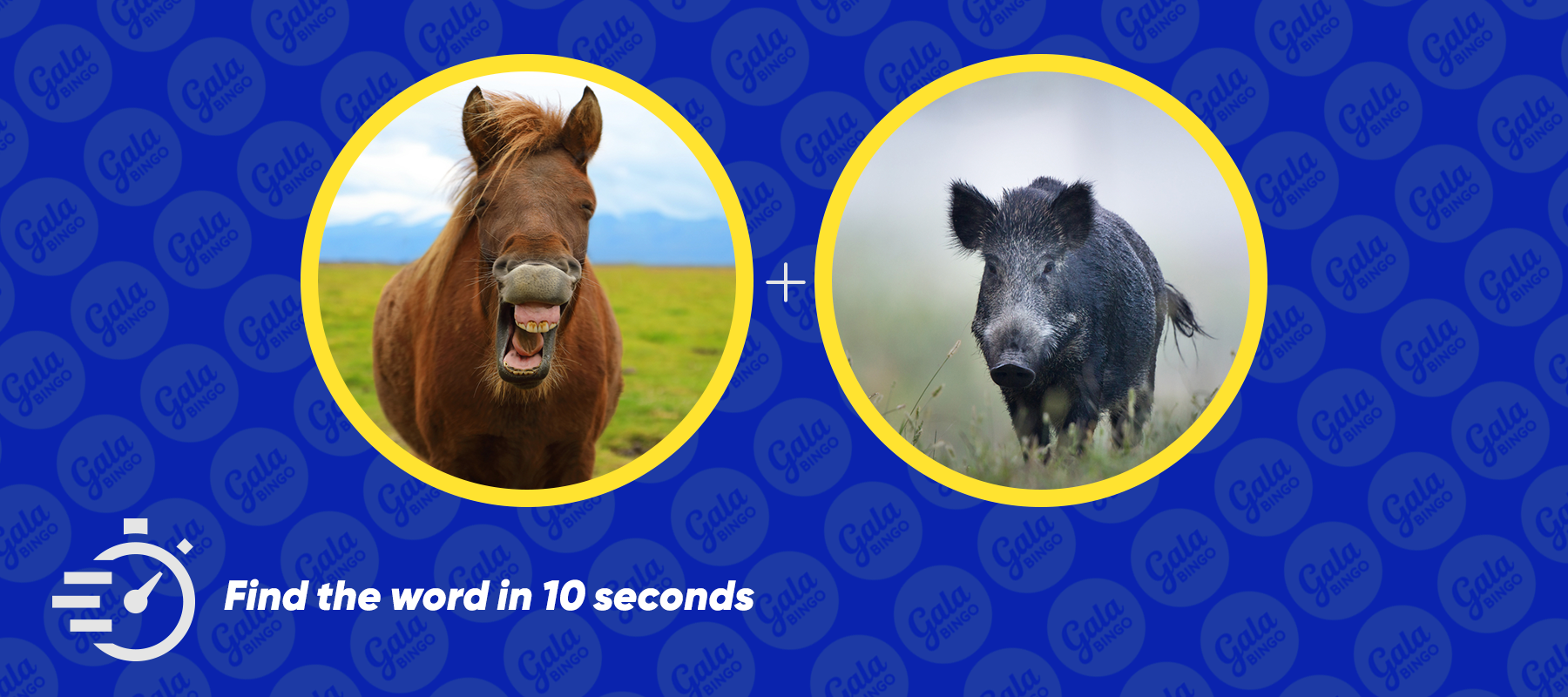 Neighbours - galabingo