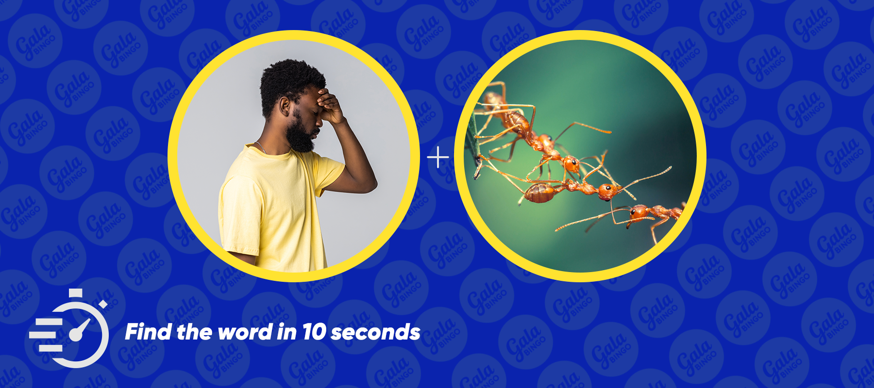 Severance - galabingo