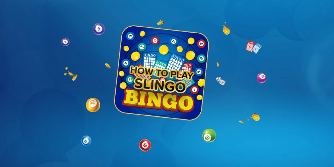 bingo slingo bingo slingo