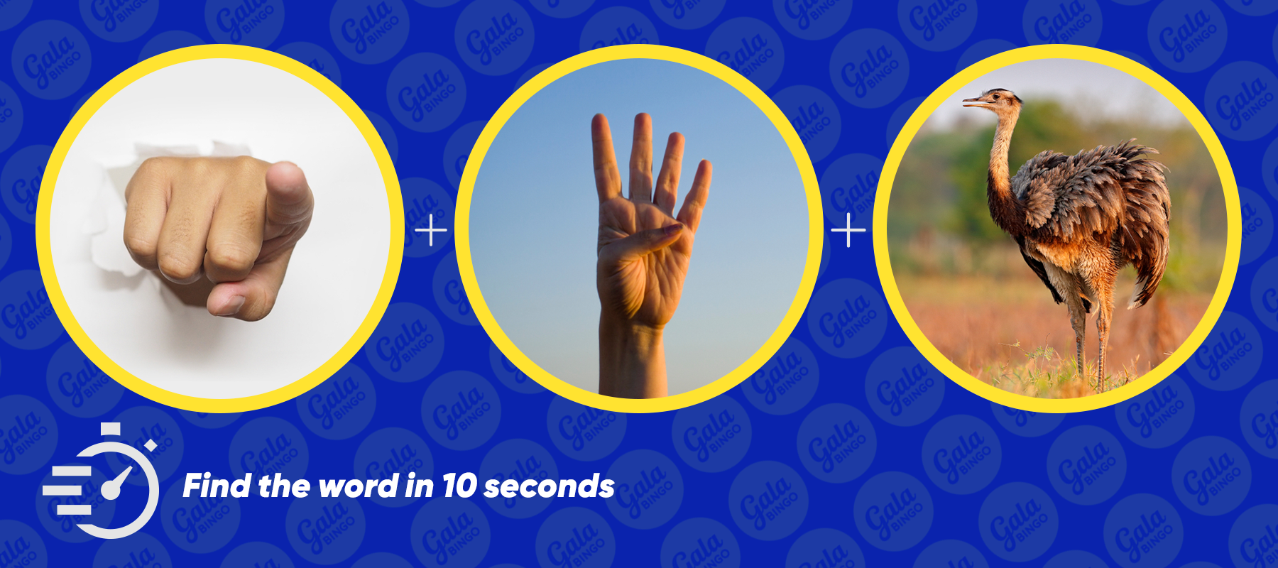 Euphoria - galabingo