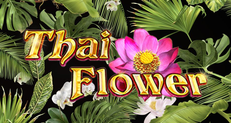 Thai Flower Slot Eng - galabingo